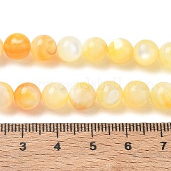 Naturali giallo perline shell fili&nbsp;SH-CBACA76-16B