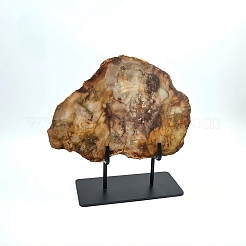 Tranche de bois pétrifié naturel sur support en fer noir&nbsp;AJEW-H157-02
