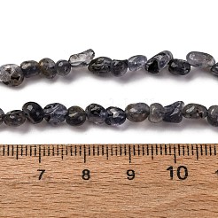 Natürliche Iolith / Cordierit / Dichroit Perlen Stränge&nbsp;G-I389-A34-01A