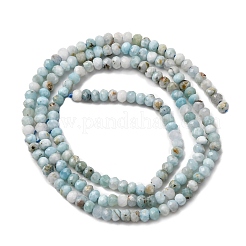 Abalorios naturales larimar hebras&nbsp;G-F803-B01-01