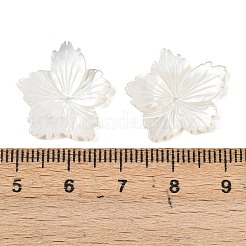 Perles sculptées en coquillage blanc naturel&nbsp;SSHEL-B006-06