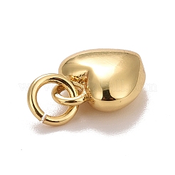 Pendentifs de placage en laiton&nbsp;KK-E275-12G