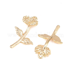 Messing Anhänger & Charms&nbsp;KK-A288-01G-11