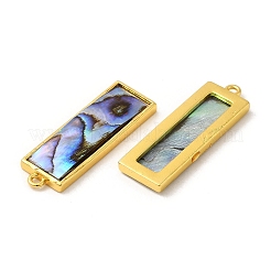 Natur Paua Muschel Anhänger&nbsp;KK-E059-09G