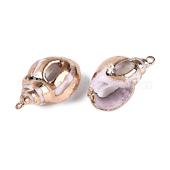 Colgantes de concha espiral natural con borde de latón dorado electrochapado&nbsp;SSHEL-Q101-03