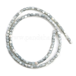 Coquille de trochid naturel / brins de perles de coquille de trocas&nbsp;SSHEL-N034-77-C01