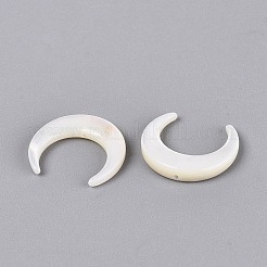 Shell perle bianche naturali&nbsp;SSHEL-T012-07-01