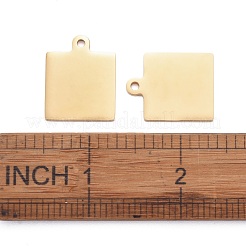 Pendentifs en acier inoxydable 304&nbsp;STAS-I140-23B-G