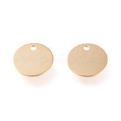 Breloques en acier inoxydable 304&nbsp;STAS-K195-12G-02