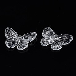 Transparenten Acryl-Anhänger&nbsp;TACR-N014-009-A01
