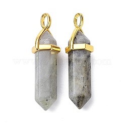 Natürliche Labradorit spitze Anhänger&nbsp;G-G025-01G-38