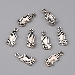 Pendentifs en alliage de zinc de style tibétain&nbsp;FIND-TAC0001-48AS