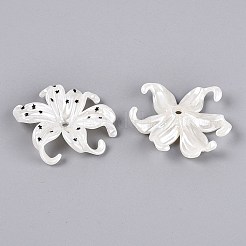 CCB perles en plastique&nbsp;PL-N007-01C