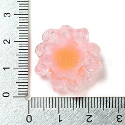 Cabochons décodés en résine transparente lumineuse&nbsp;CRES-F032-B03