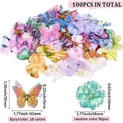 50 Stück 10 Farben Polyester Strass Schmetterling Ornament Zubehör&nbsp;FIND-SP0004-86
