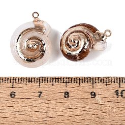 Galvanische natürliche Spiralschalenanhänger&nbsp;SSHEL-Q100-34G