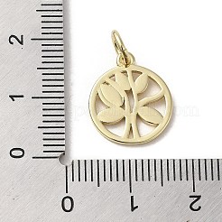 Messing Emaille Anhänger / charms&nbsp;KK-E092-15G-01