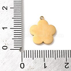 304 Edelstahl-Emaille-Anhänger&nbsp;STAS-L022-240G