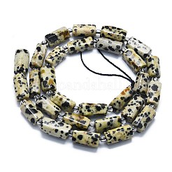 Chapelets de perles en jaspe dalmatien naturelle&nbsp;G-K245-I03-01