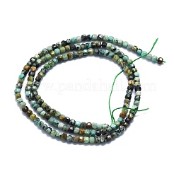 Natürliche afrikanische türkis (jasper) perlen stränge&nbsp;G-P457-B01-43