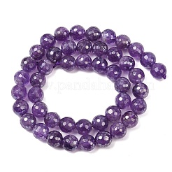 Galvanisierte natürliche Amethyst-Rundperlenstränge&nbsp;G-L598-A05-02