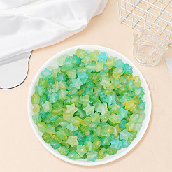 300 perles acryliques givrées&nbsp;OACR-PA0001-71C