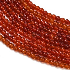 Cuentas de cornalina naturales hebras&nbsp;G-Z116-A22-2mm