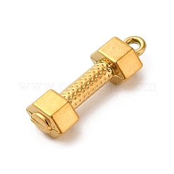 Ciondoli in acciaio inox 304&nbsp;STAS-K273-01G