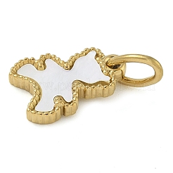 Ionenplattierung (IP) 304 Edelstahl Pflaster natürliche weiße Muschel Bär Charms mit Biegering&nbsp;STAS-B075-01G-02