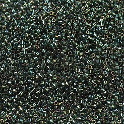 Miyuki Delica Perlen&nbsp;X-SEED-J020-DB0125