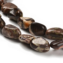 Natur Ozean Jaspis Perlen Stränge&nbsp;G-P497-01E-76