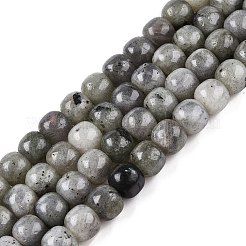 Perline labradorite naturale fili&nbsp;G-T138-143