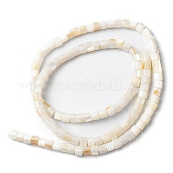 Natürlichen Süßwasser-Muschelperlen Stränge&nbsp;SHEL-K006-07