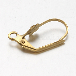 Placcatura ionica (ip) 304 acciaio inossidabile a leva orecchini&nbsp;STAS-G130-21G