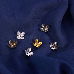 Chapeau de perle de fer&nbsp;IFIN-CJ0001-22