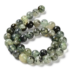 Perline Prehnite naturale fili&nbsp;X-G-P322-48-10mm-01