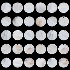 30 Stück flache&nbsp;SHEL-BC0001-044