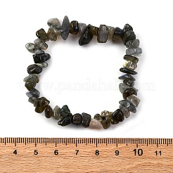 Unisex Chip natürliche Labradorit Perlen Stretch Armbänder&nbsp;BJEW-S143-19