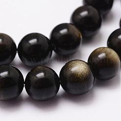 Natürliche goldenen Glanz Obsidian Perlen Stränge&nbsp;G-D838-8mm-05