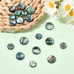 20 Stück 2 Stile natürliche Paua-Muschel-Cabochons&nbsp;SHEL-YW0001-09