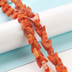Fili di perline howlite naturale&nbsp;TURQ-K006-01C
