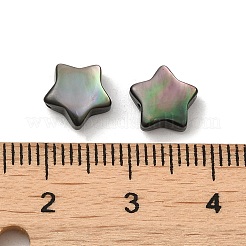 Natürliche schwarze Lippe Muschelperlen&nbsp;SHEL-M019-05
