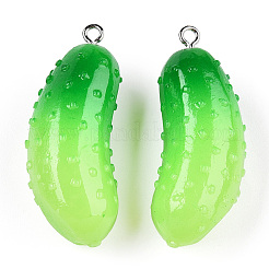 Colgantes vegetales de resina opaca&nbsp;RESI-N039-79