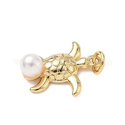 Messing Anhänger & Charms&nbsp;LS-KK-D426-26A-G