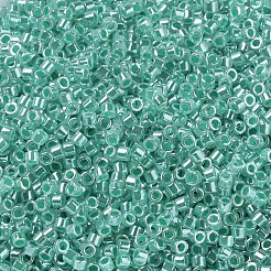 Perles miyuki delica&nbsp;SEED-X0054-DB0238