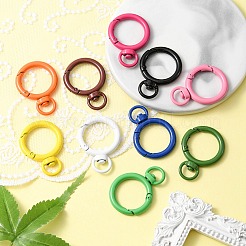 10 Stück drehbare Karabinerhaken aus spritzlackierter Legierung&nbsp;FIND-YW0001-60