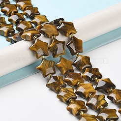 Natürlichen Tigerauge Perlen Stränge&nbsp;G-NH0005-007