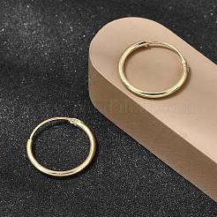 Orecchini a cerchio in ottone&nbsp;EJEW-G474-01G-02