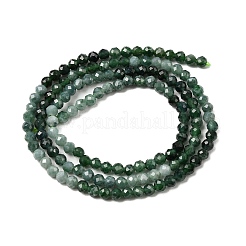 Natürliche jadeite Perlen Stränge&nbsp;G-P603-C-3mm-02