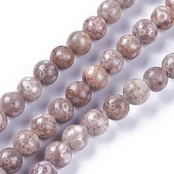 Chapelets de perles maifanite/maifan naturel pierre , teinte, ronde, 6mm, Trou: 1mm, Environ 62~64 pcs/chapelet, 15.2 pouce ~ 15.4 pouces (38.5~39 cm)